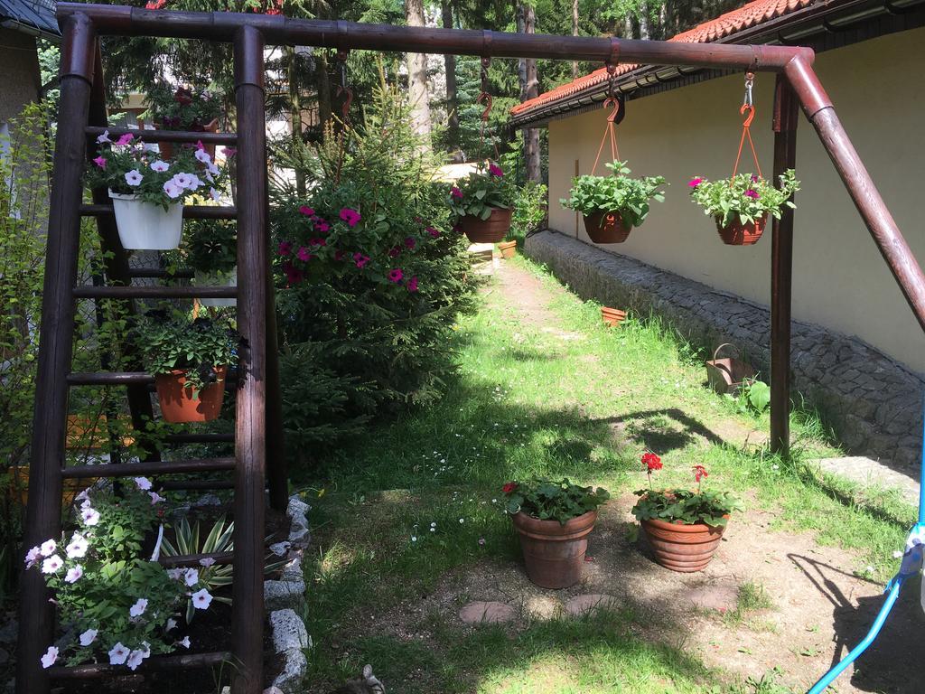 Pensjonat Zimorodek Poczuj Z Nami Magie Karpacza Spacerujac Do Centrum Widok Na Sniezke